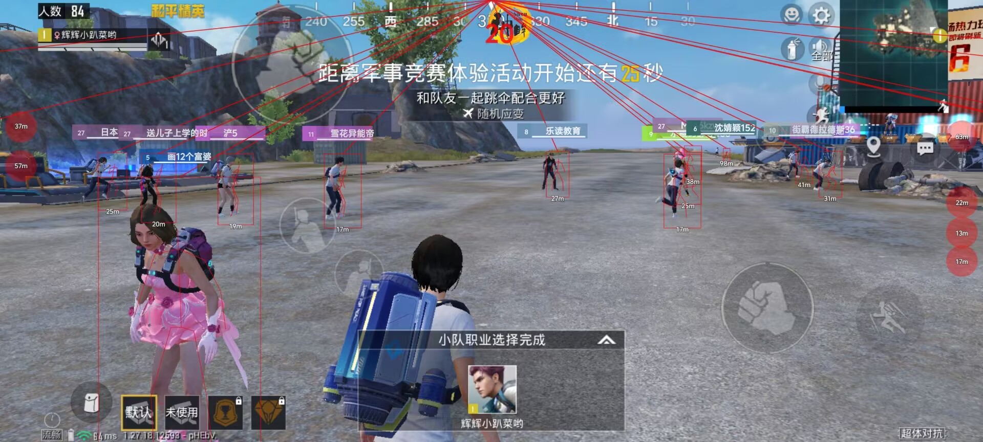 和平精英《牛牛》辅助