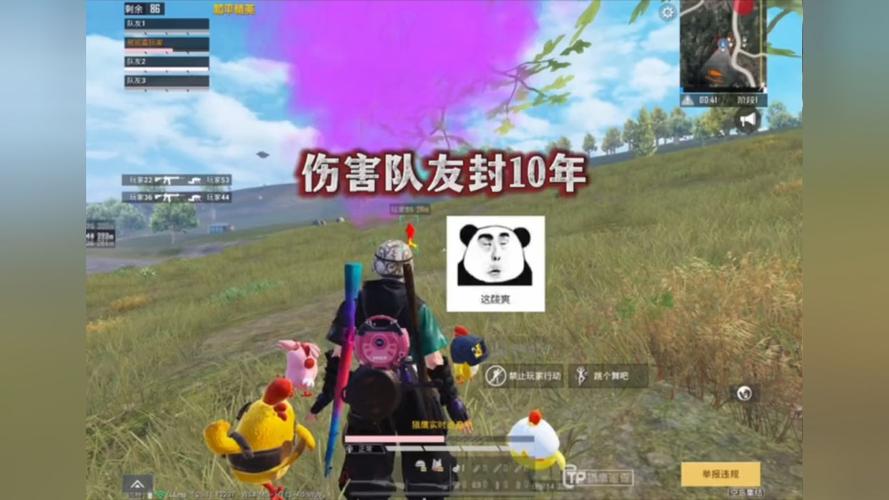 和平精英辅助【巡查员直装V1.0】人物透视 雷达预警 全车美化 枪械美化 人物加速
